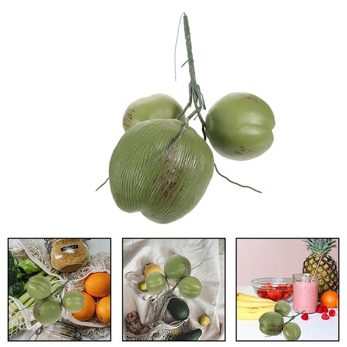 Simulation noix coco aspect - noix,