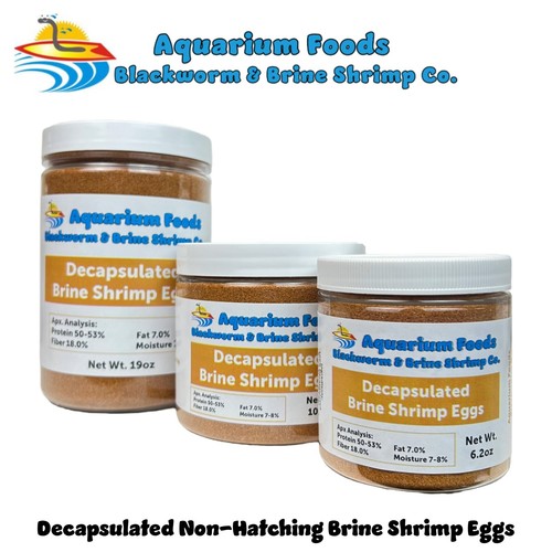 Decapsulated brine shrimp - decapsulated,