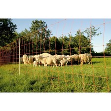 Euronetz Plus 106 CM - Réseau de Mouton Avec Pique Doubles, 50 M Weidenetz Filet