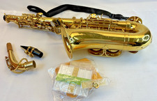 Unbranded Alto Saxophone: Gold