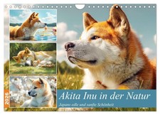 L'Akita Inu dans la nature. La