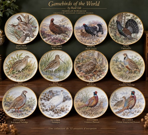 Franklin porcelain - franklin,