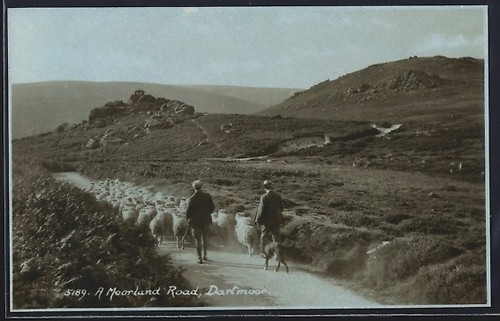 Dartmoor moorland road - dartmoor,,