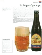 Contemporary Beer Advertising