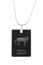 Cheval selle américain - cheval, de