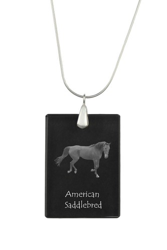 Cheval selle américain - cheval,