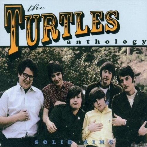 Turtles solid zing - (solid,