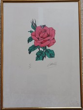 Félix LABISSE - La mouche et