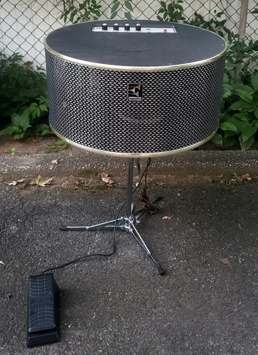 Rare vintage maestro rover - maestro,