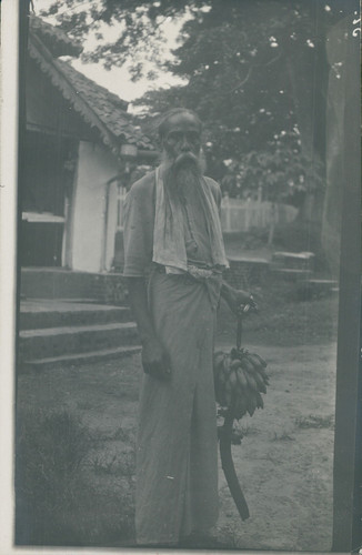Ceylon homme portant - homme,