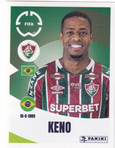 Panini 2025 fifa - panini, du