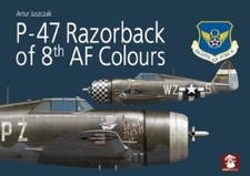 Artur Juszczak P-47 Razorback