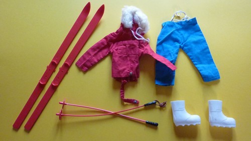 Tenue mission arctique group - arctique,