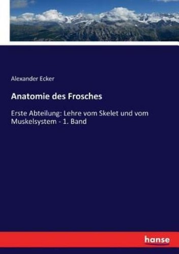 Anatomie des frosches - anatomie,