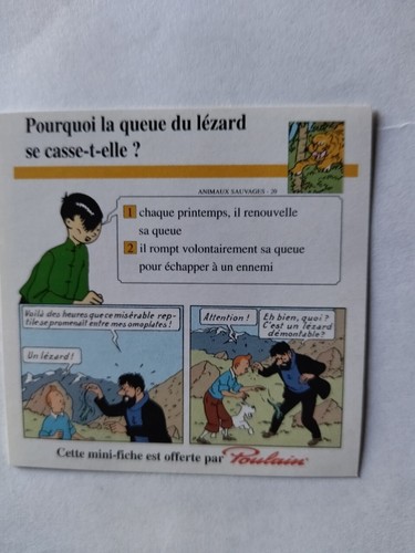 Mini fiche tintin - n°20,