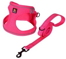 Harnais XS  chien État Neuf