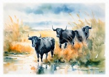 Tableau illustration