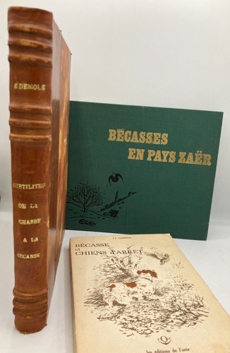 Chasse bécasse 3 - bécasse, :