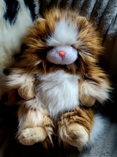 Beau chat peluche - en,