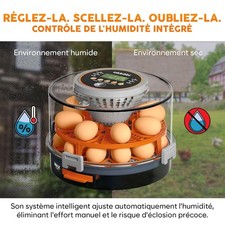 Couveuse incubateur œuf automatique 12 ou 20 œufs, retournement, hum, temp,KF20