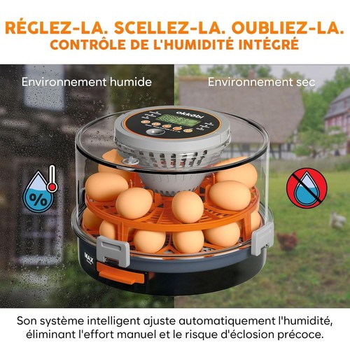 Couveuse incubateur œuf