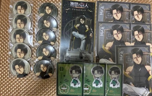 Attack titan levi - on, can