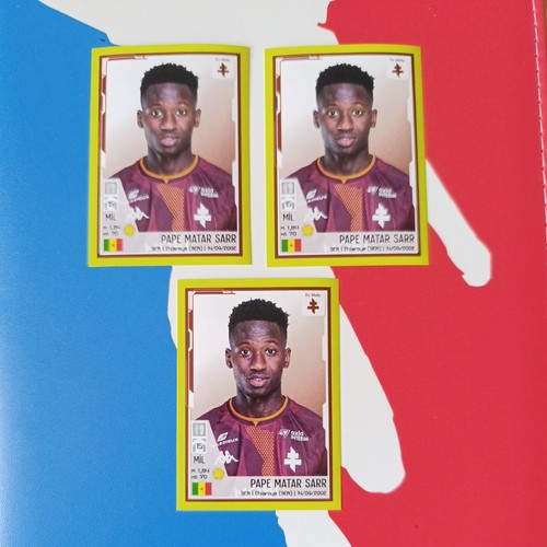 Lot stickers panini - panini, foot