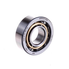 FAG/Schaeffler Technologies