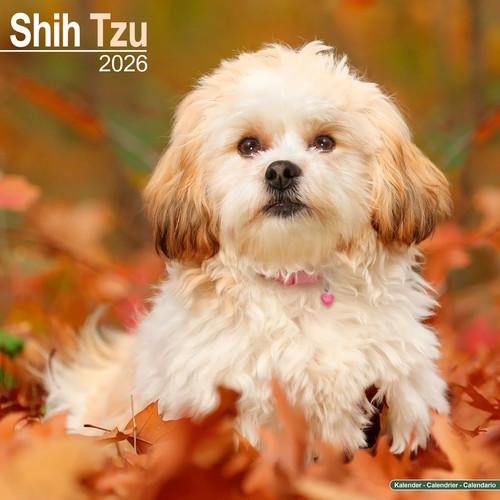 Calendrier 2026 shih - calendrier,
