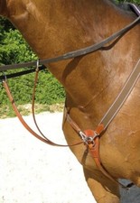 Collier de chasse élastique