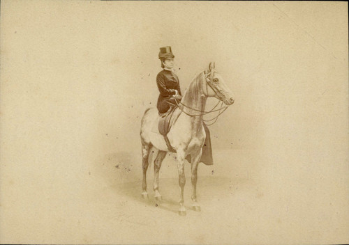 Cavalière montant amazone - montant,