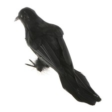 Effaroucheur de pigeons