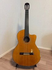 Guitare électrique acoustique