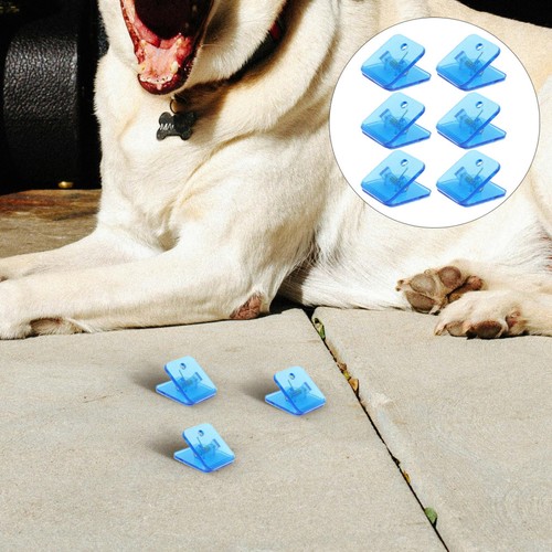 Pièces clair chien pot - clair,
