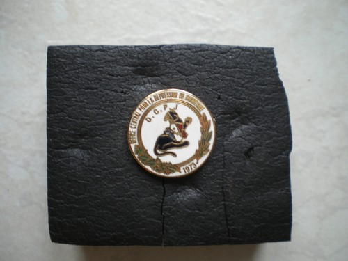 Pin police dcpj - police.,