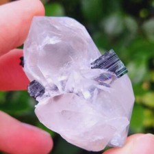 Tourmaline Noire Green Cap dans Quartz biterminé - Skardu, Pakistan