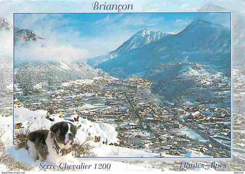 Carte postale animaux - animaux,