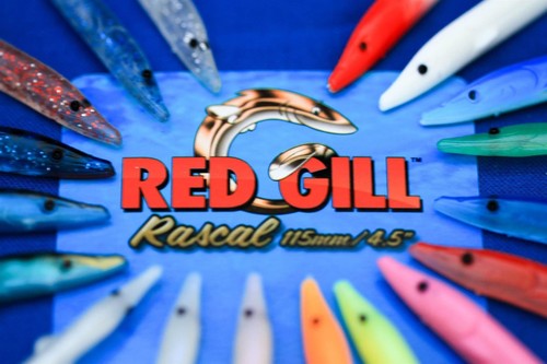 Red gill original rascal - gill,