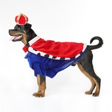  Déguisement De Chien