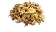 Panja Salam dactylorhiza hatagirea 100 orchidée Salem Panja Hatajari TOUTE 10gm