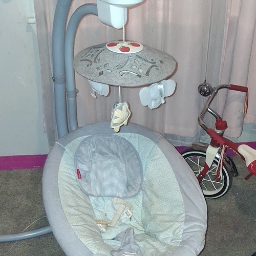 Fisher-Price Gray Baby Swing