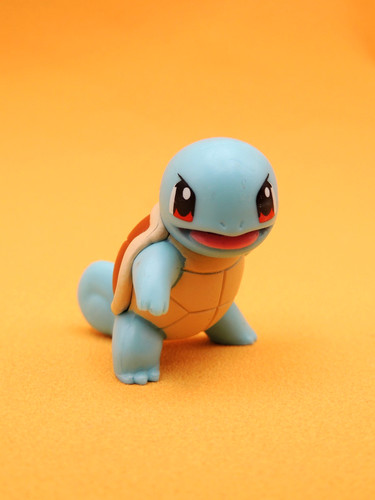 Carapuce pokémon battle - -,