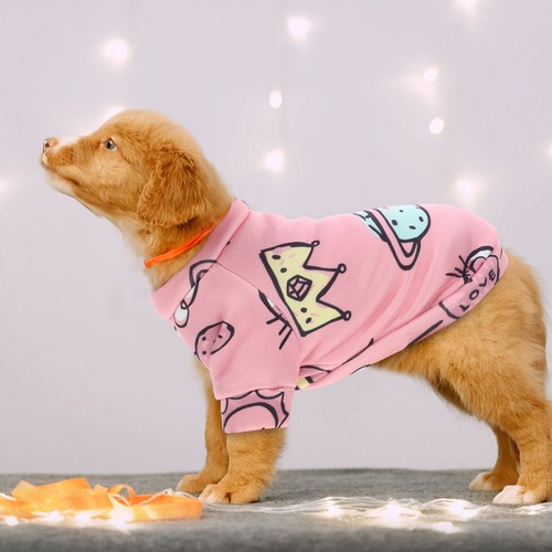 Vetement pour chien - ,