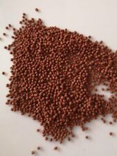 GRANULE DISCUS - DISCUS GRANULATE NOURRITURE ALIMENTS POISSONS GRANULES DISCUS