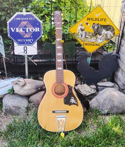 Vintage stella harmony - ,