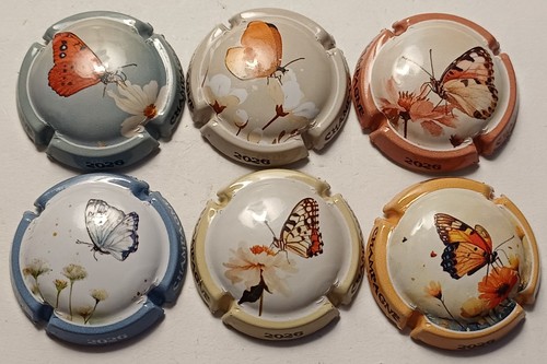 Belles capsules champagne - belles,