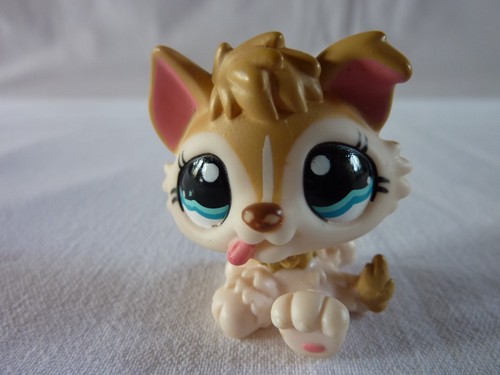 Petshop lps littlest - lps,
