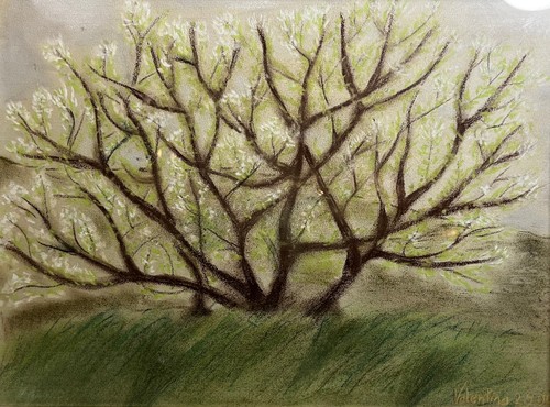 Valentina arbre vie art - de,