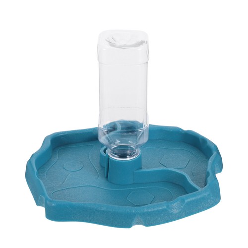 Accessoires gecko léopard - accessoires,