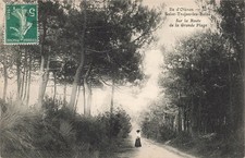 17 L ILE D OLERON SAINT TROJAN PLAGE